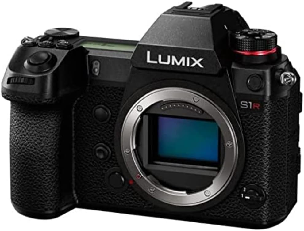 Panasonic LUMIX S1HE Full Frame Mirrorless Camera, 6K Video Recording With Flip Screen (Full-Frame Capture, 4:2:2 10-bit Internal Recording, Camera Body Only, Black)